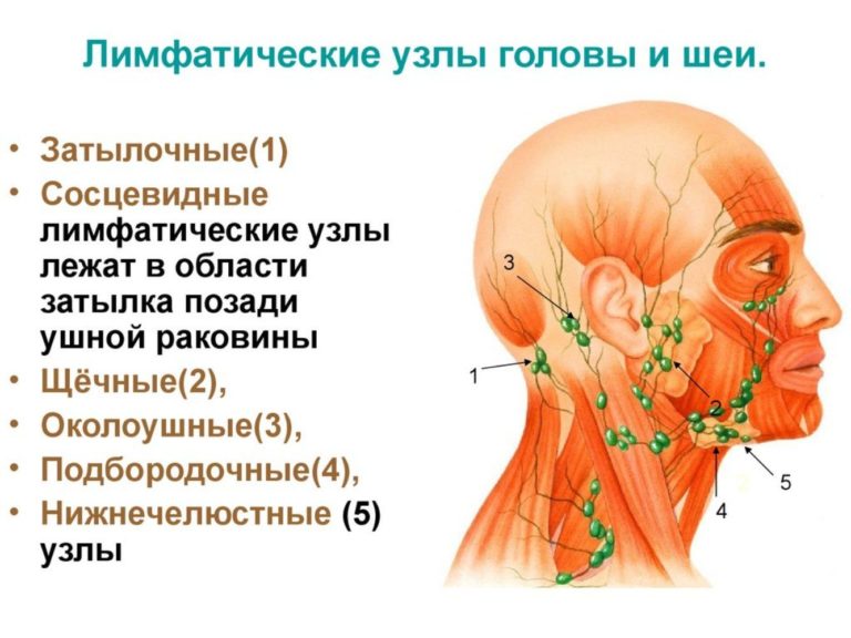 Воспаление затылочного лимфоузла фото