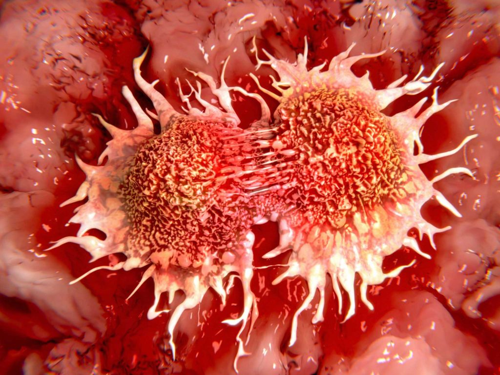 cancer cells01