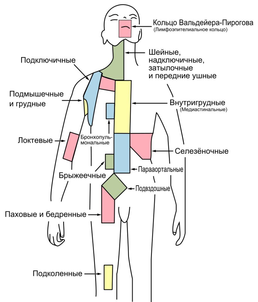 Лимфаденит карта вызова