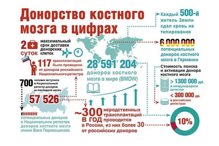 как стать донором костного мозга