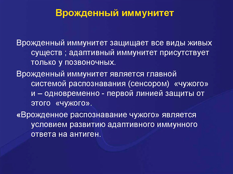 Врожденный иммунитет картинки